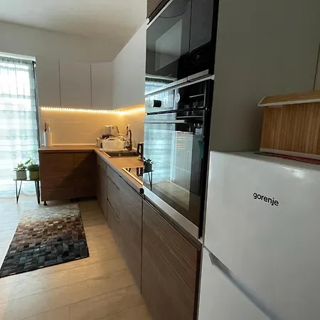 Besen 207 Emila Apartament *