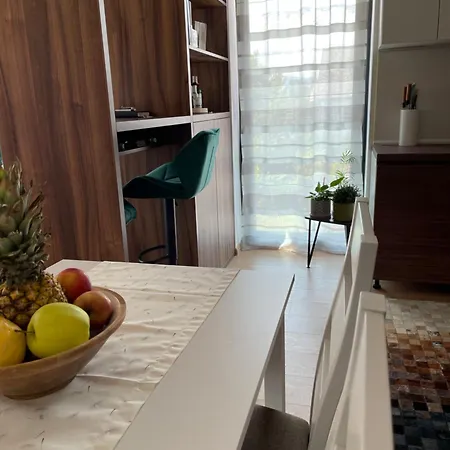 Besen 207 Emila Bešeňová