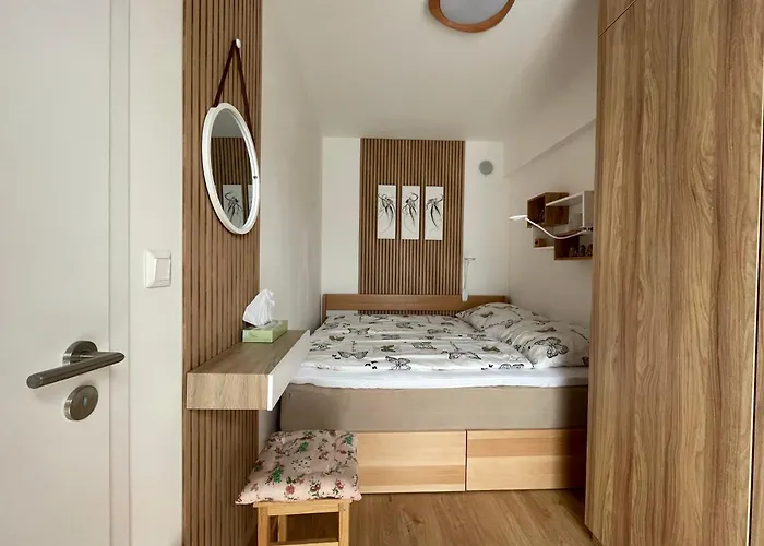 Besen 207 Emila